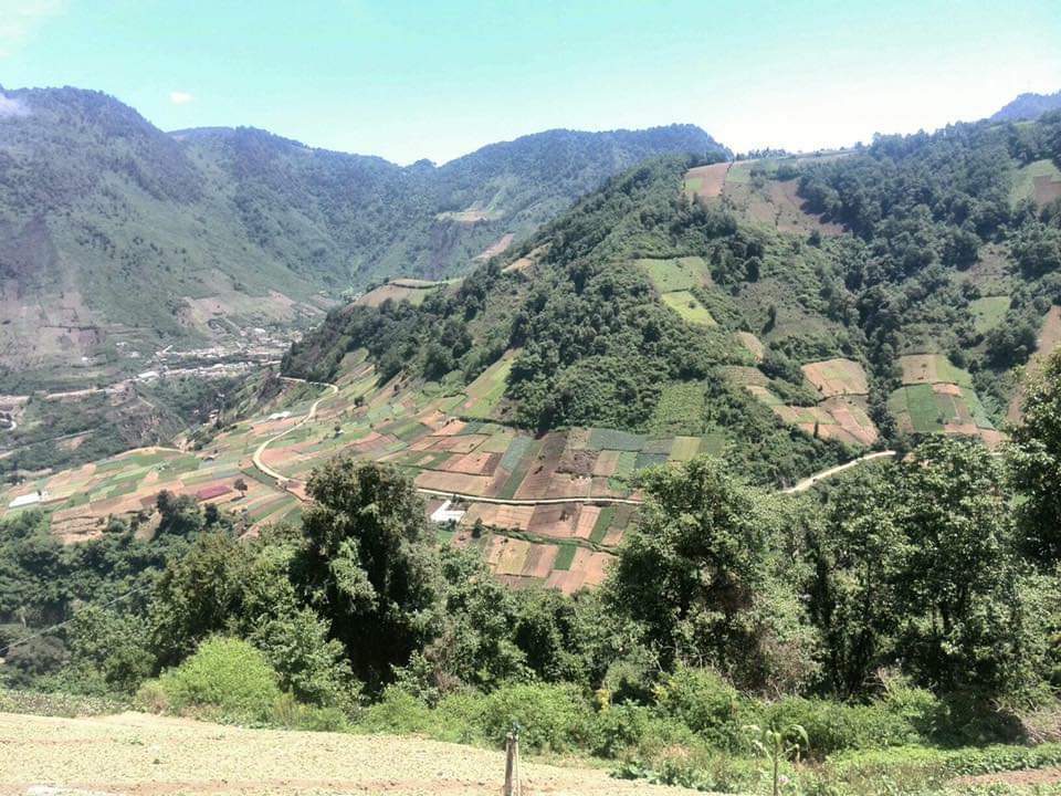 Zona protegida de Zunil está sufriendo daños por expansión de sembradíos e incendios forestales.